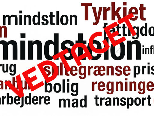 Tyrkiet har vedtaget minimumslønnen for 2026