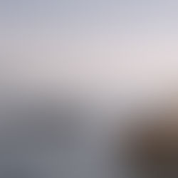 Den store hval i Bosporus - historien om Porphyrios