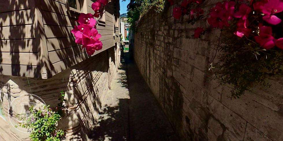 Narrow sunlit alley between a house and stone wall, framed by bright pink bougainvillea and shadow patterns.