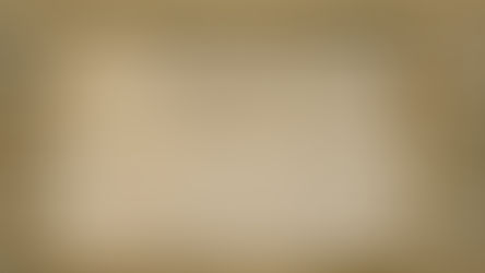 Historien under metrobroen, der nægter at blive glemt