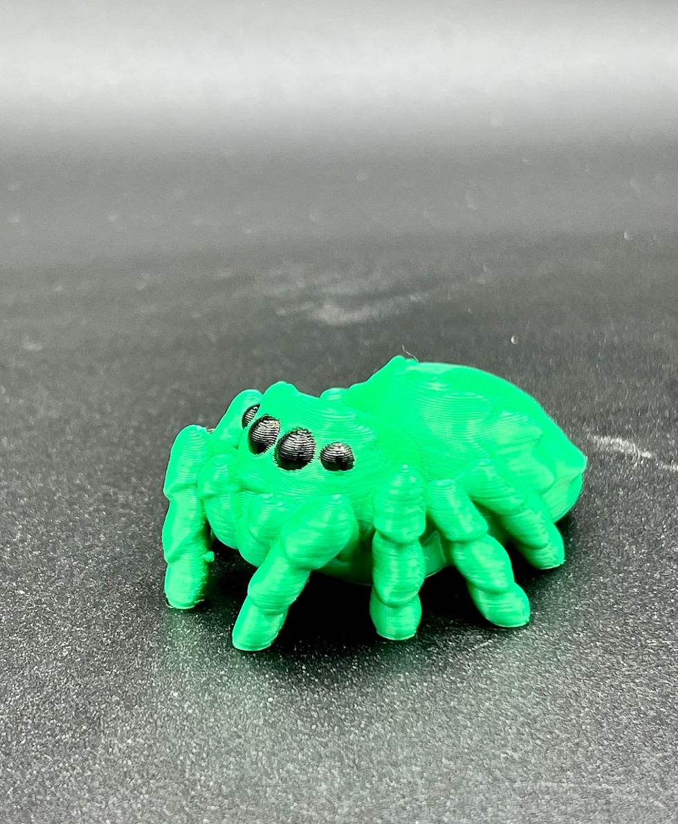 Thumbnail: Jumping Spider