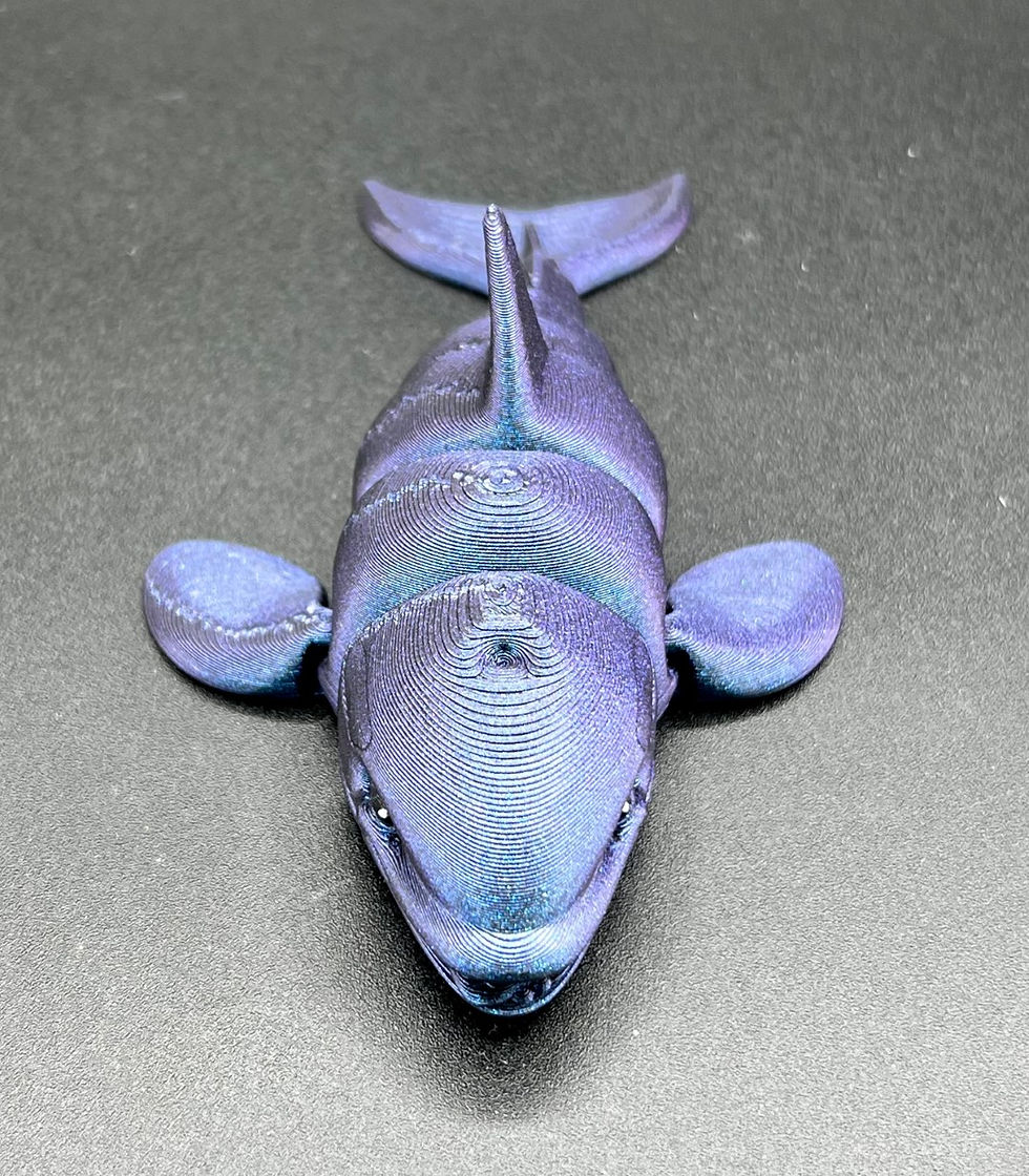 Thumbnail: Articulated Orca