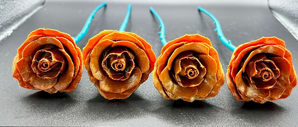 Thumbnail: Individual Roses - Rainbow