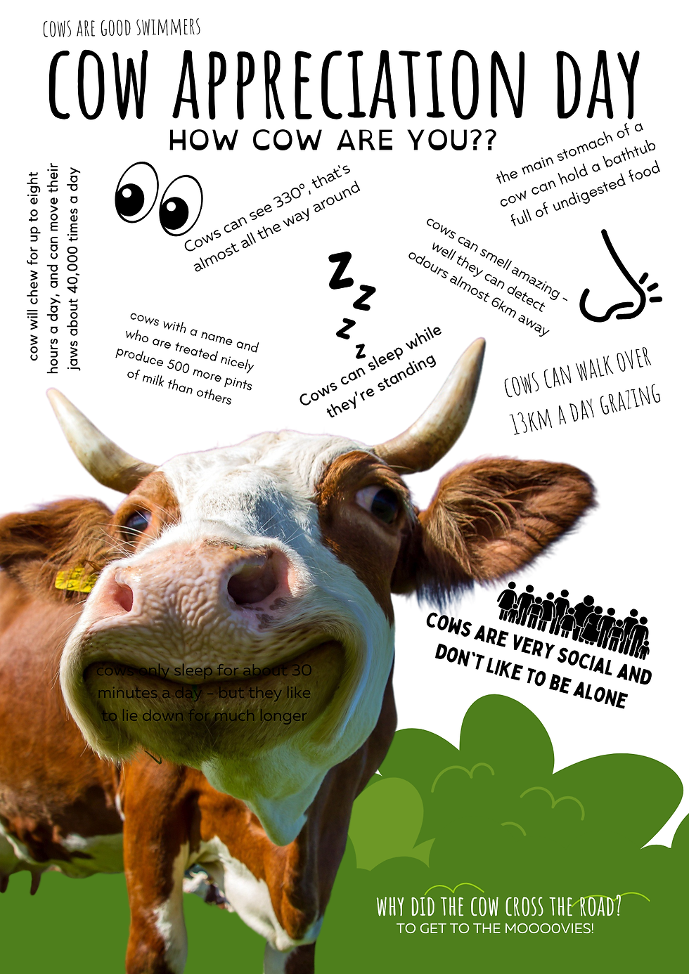 9th Cow Appreciation Day