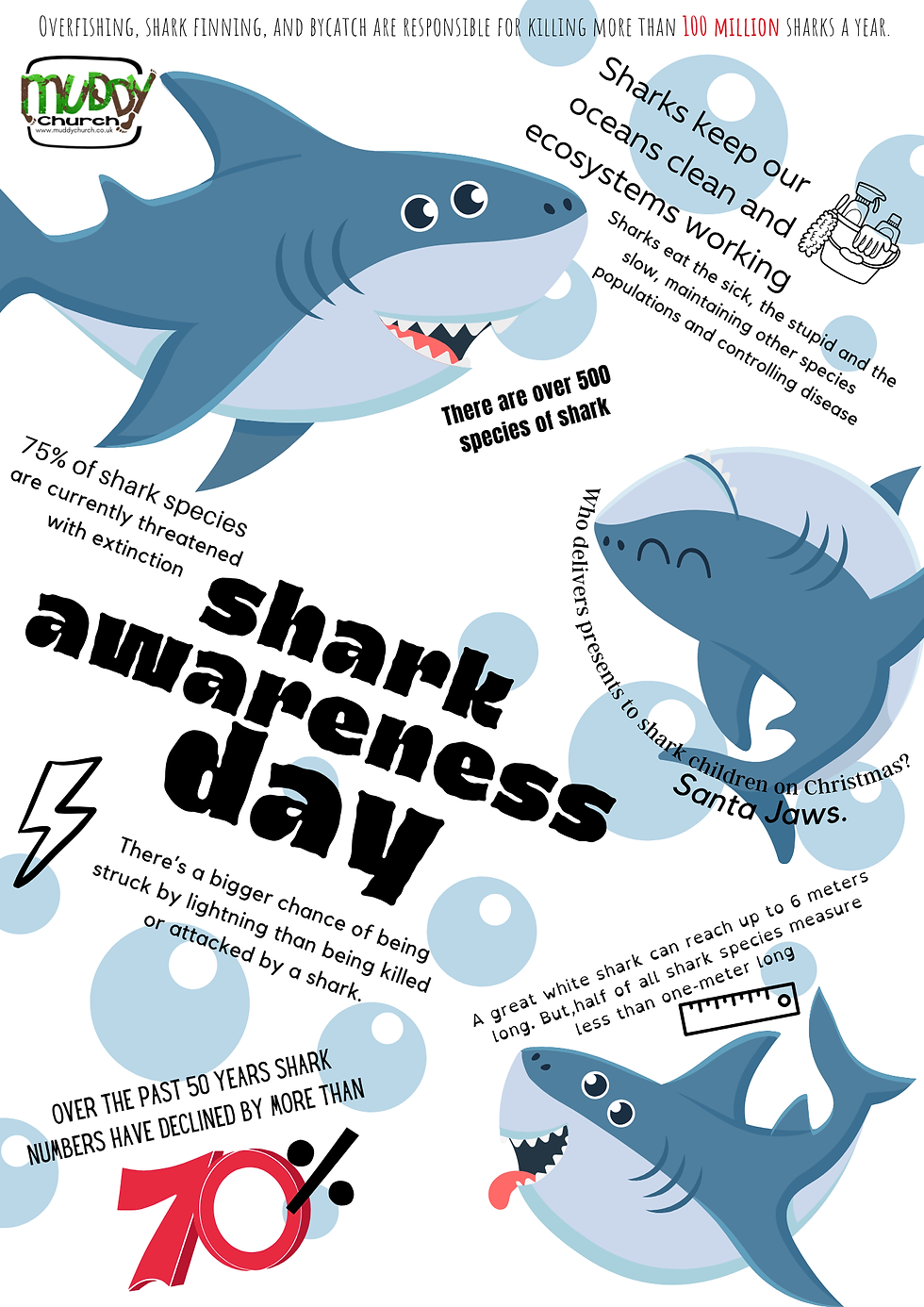 14 Shark Day
