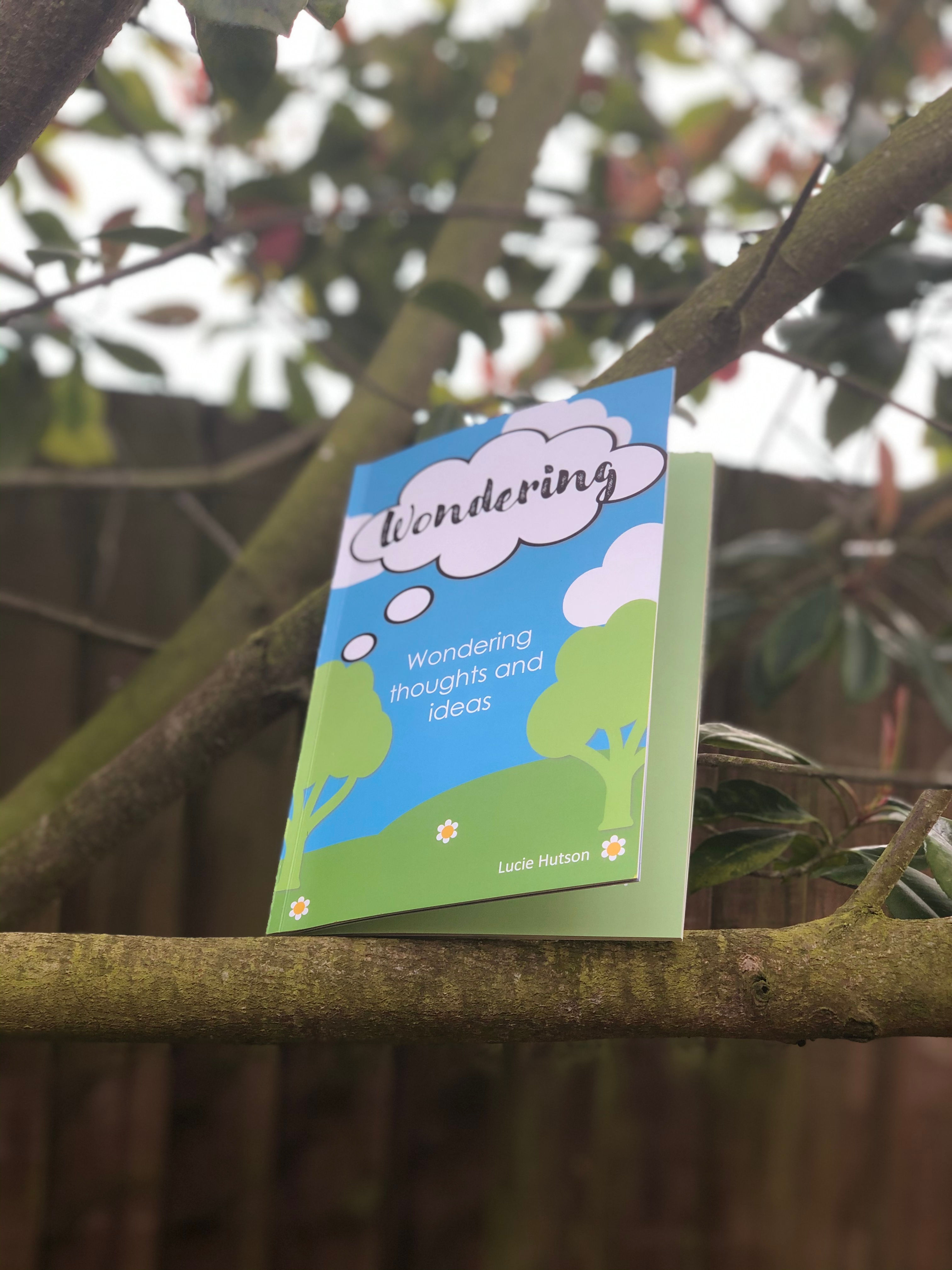 Wondering - the little book