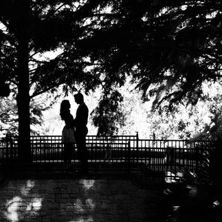 Silhouette of engaged couple Kelcey Wetterberg and Nate Crnkovich holding hands under a tree during sunset.