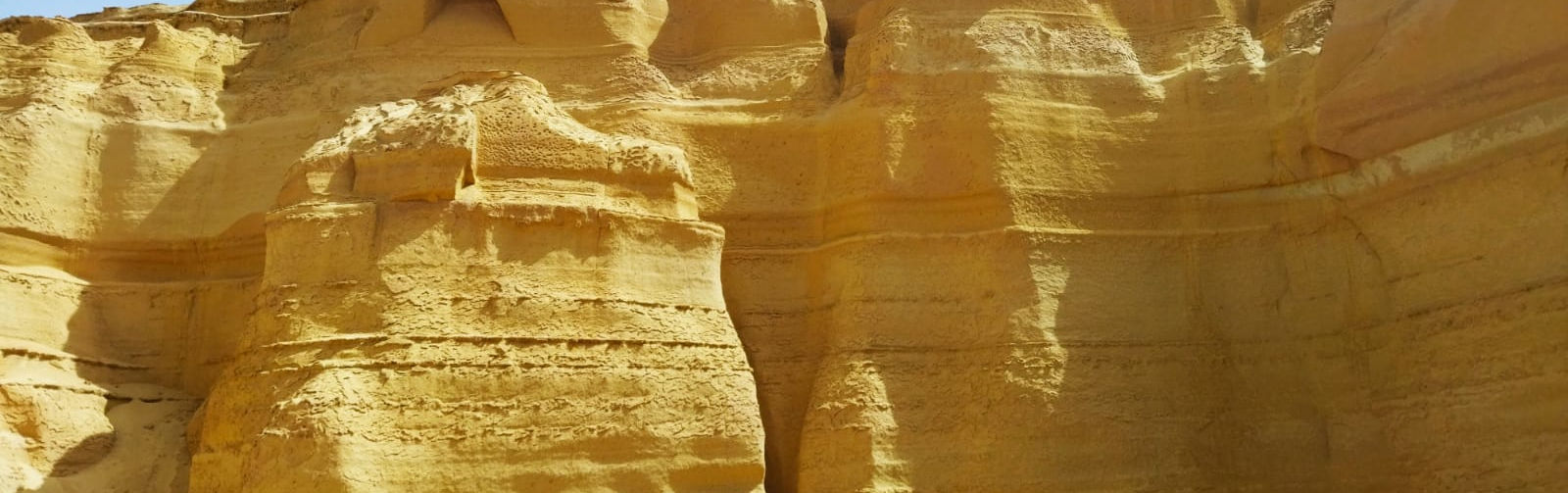 Désert fossiles.jpg