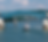 IMG_3939_edited.png