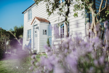Little Lavender Cottage