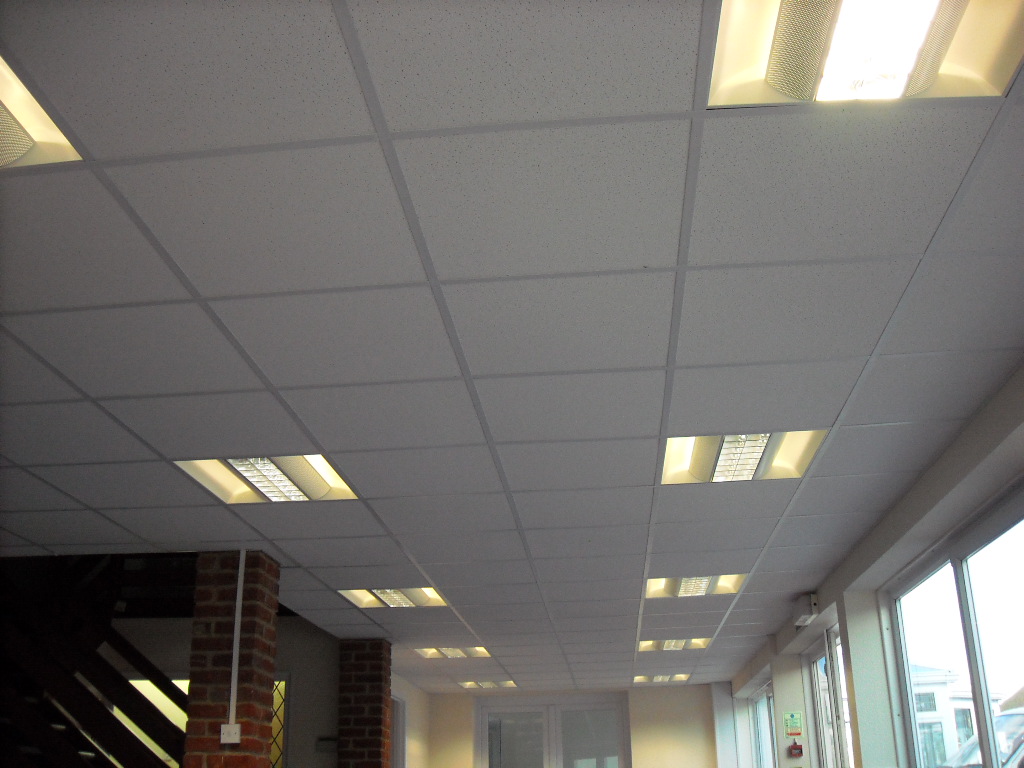 Southern Ceilings