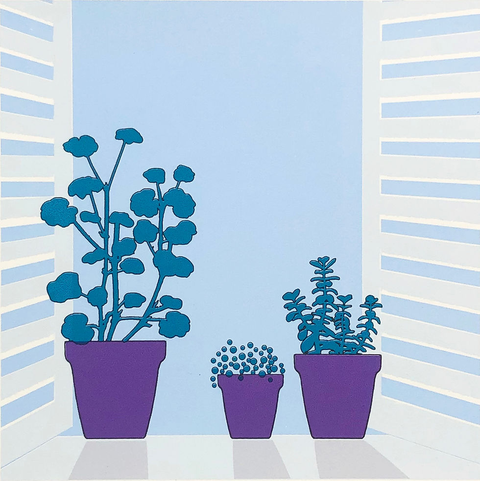 'Through the shutters'