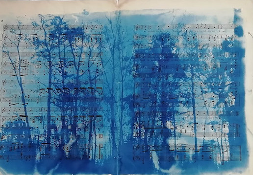 5. Forest Rhapsody Cyanotype on old sheet music Framed £210 40x55cm Unframed £170 35x47cm.