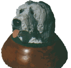 Bearded Collie