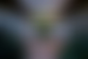 Dormir entre muros que cuentan historias: el lujo silencioso de las haciendas en Guanajuato