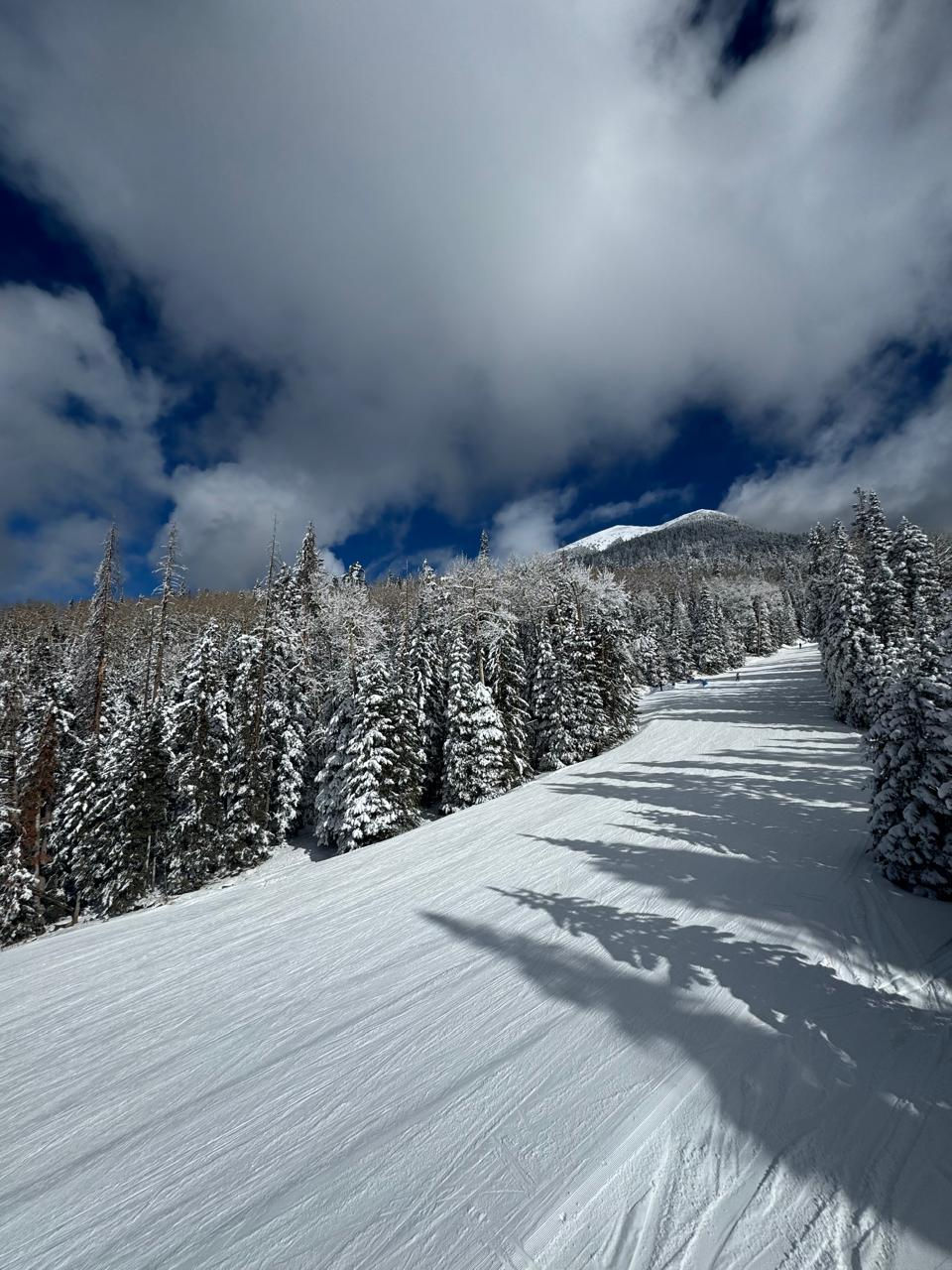 Foto: Pedro Berruecos