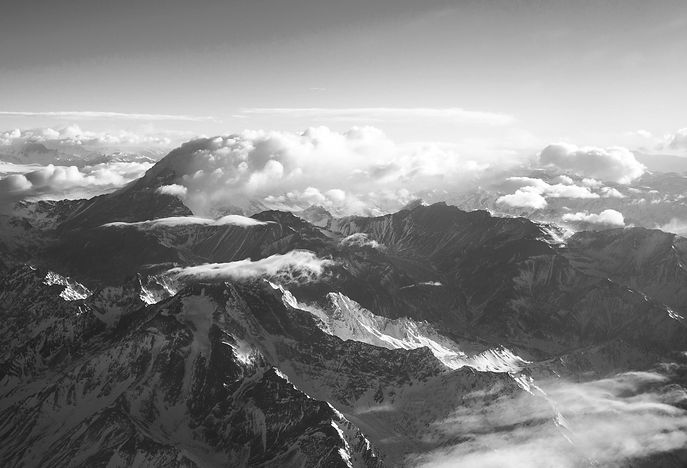 Elevation Branding.jpg