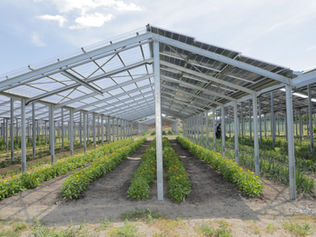 Agri-PV Project at our R&D Center in Germany