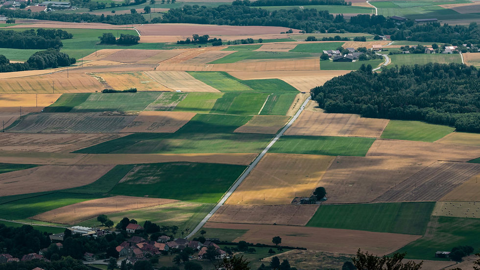 Landowner.jpg