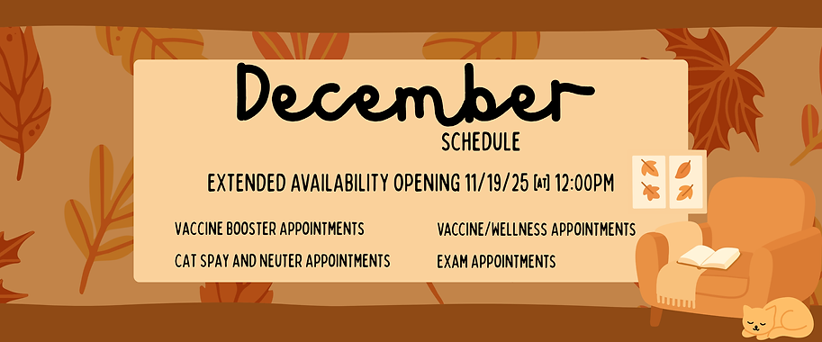 WEBSITE UPDATE (32).png