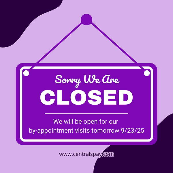 Red We Are Closed Notification Instagram Post.png
