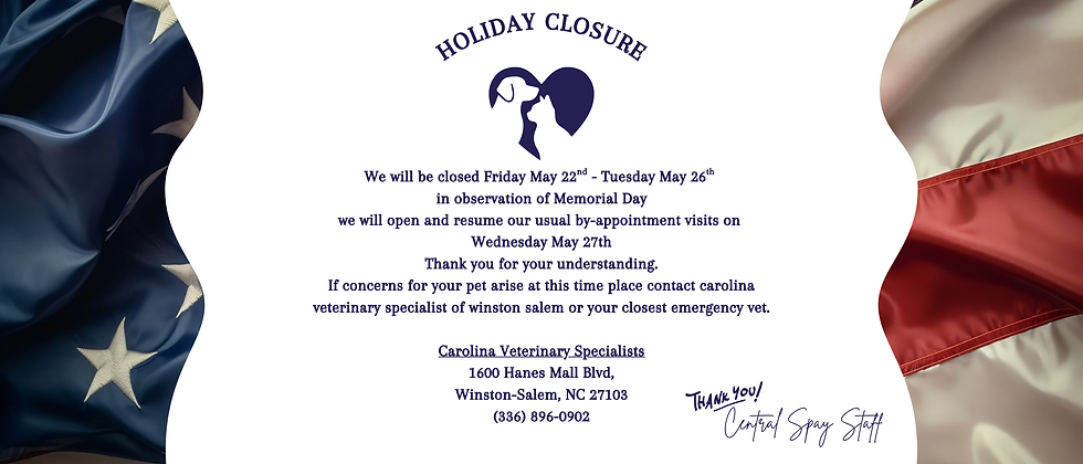 CLOSURES.png