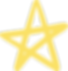 HLKT_Yellow Star.png