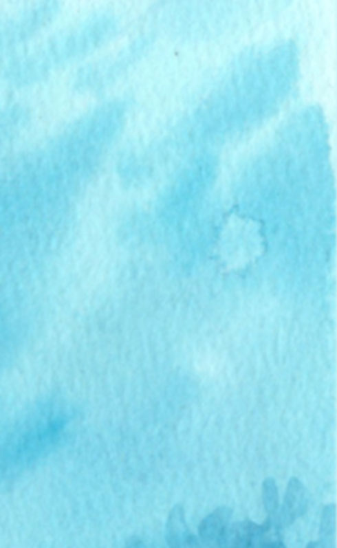 Untitled design (21)_edited.jpg
