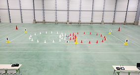20241008_151251.jpg