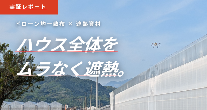 ドローンによる遮熱資材散布でハウスの夏季高温対策を実証