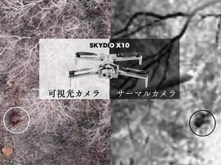  アフリカ豚熱に備え、ドローンで「空からのイノシシの死骸捜索」を実証