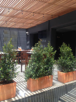 WhatsApp Image 2019-02-25 at 15.26.44