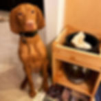 2019-01-29 20.53.32-1-2