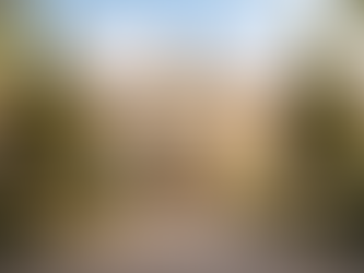 Marketing para entidades sem fins lucrativos: o desafio não é comunicar, é gerar pertencimento