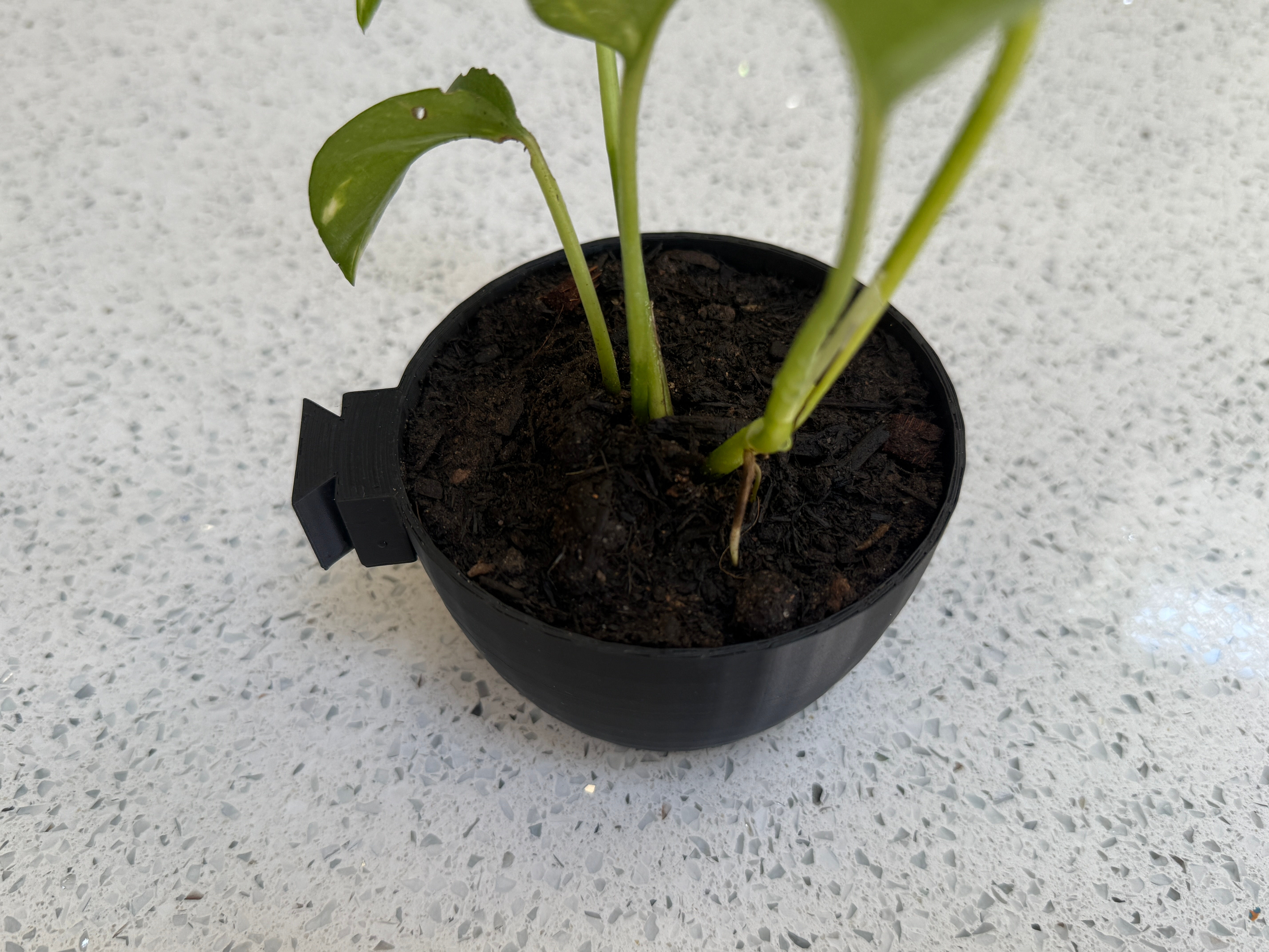 3D-Printed Plant Pot – Compatible with Universal Mount 100mm x 60mm