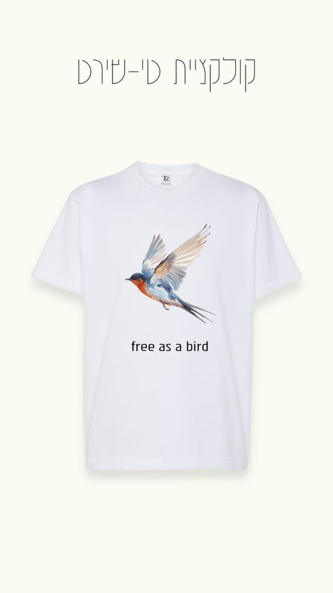 קולקציית טי-שירט