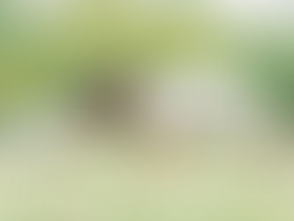 2023年8月のご予約について