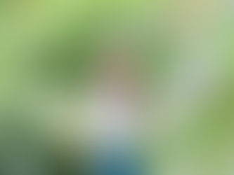 2026年6月のご予約について