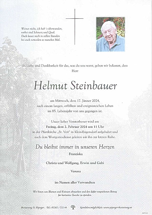 Helmut Steinbauer
