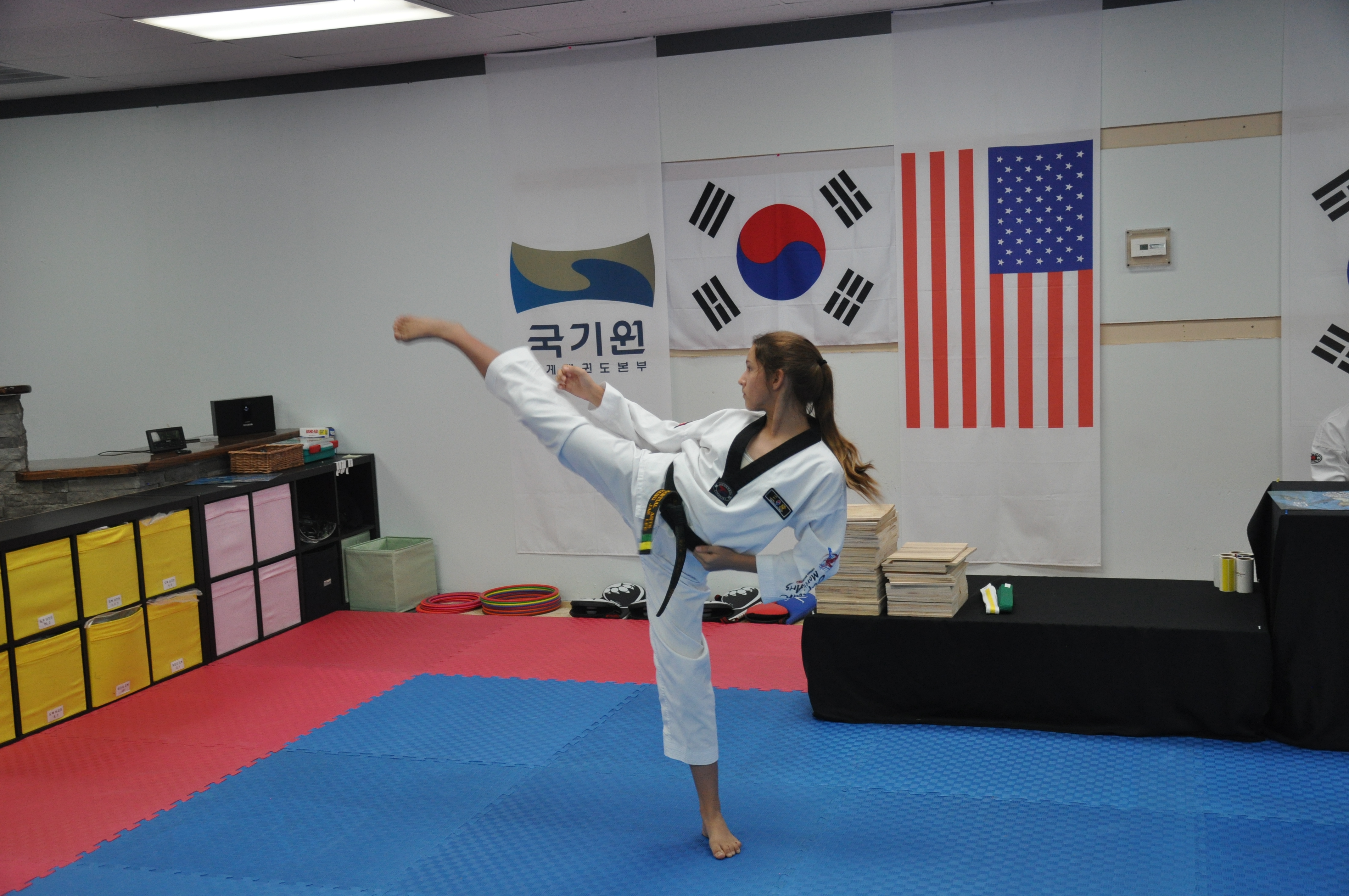 Home Brandon Captain Taekwondo