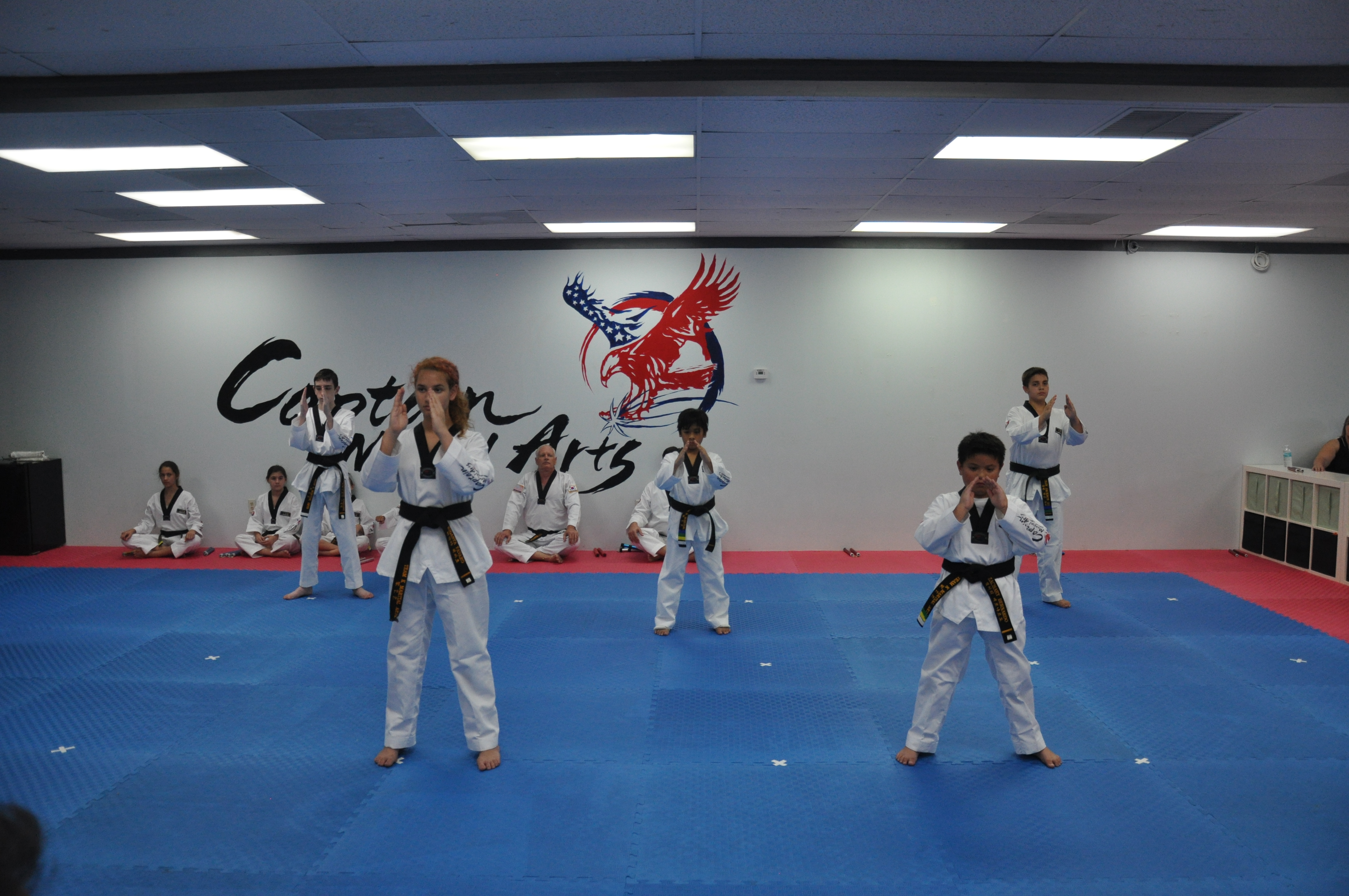 Home Brandon Captain Taekwondo
