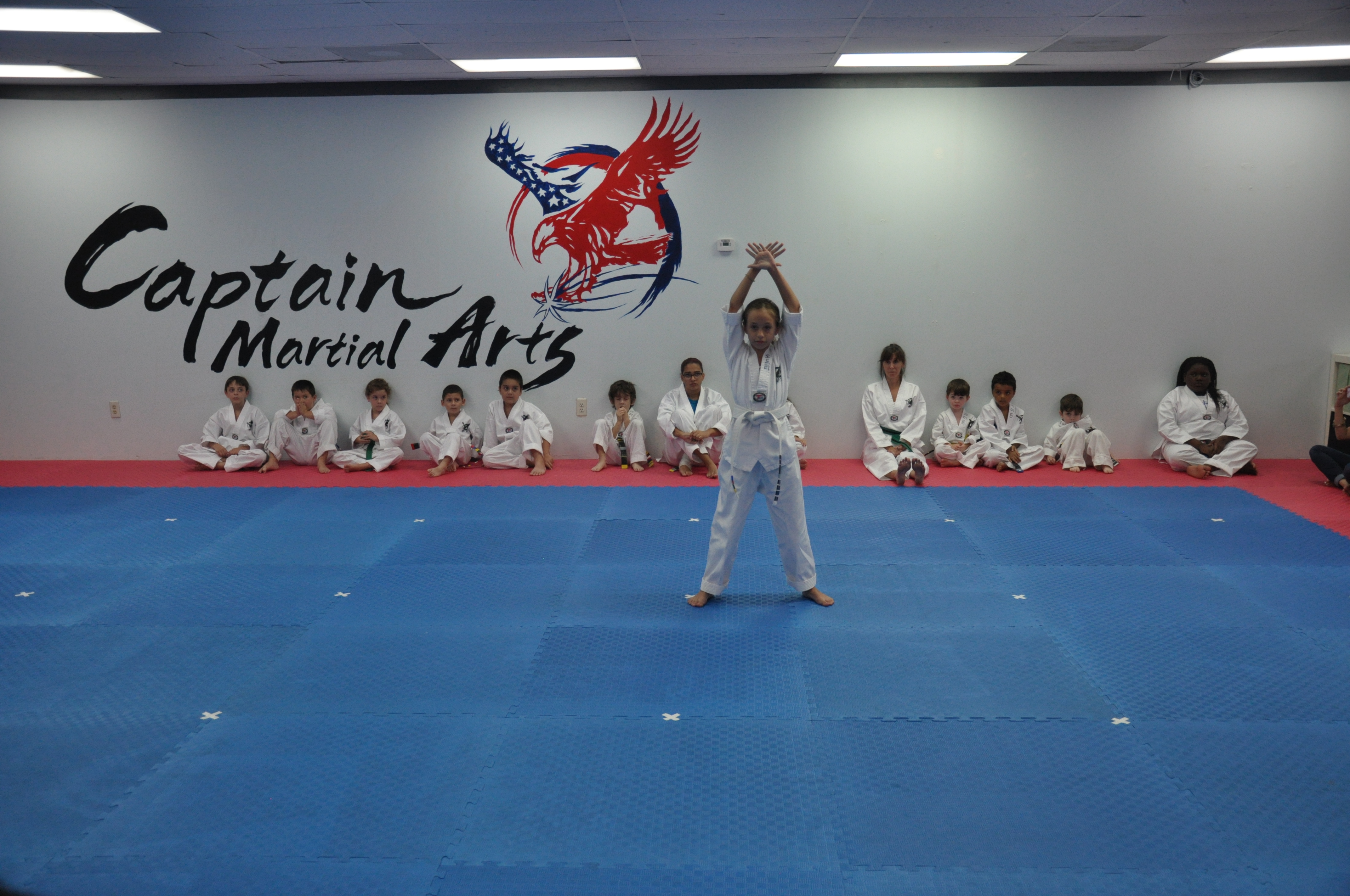 Home Brandon Captain Taekwondo