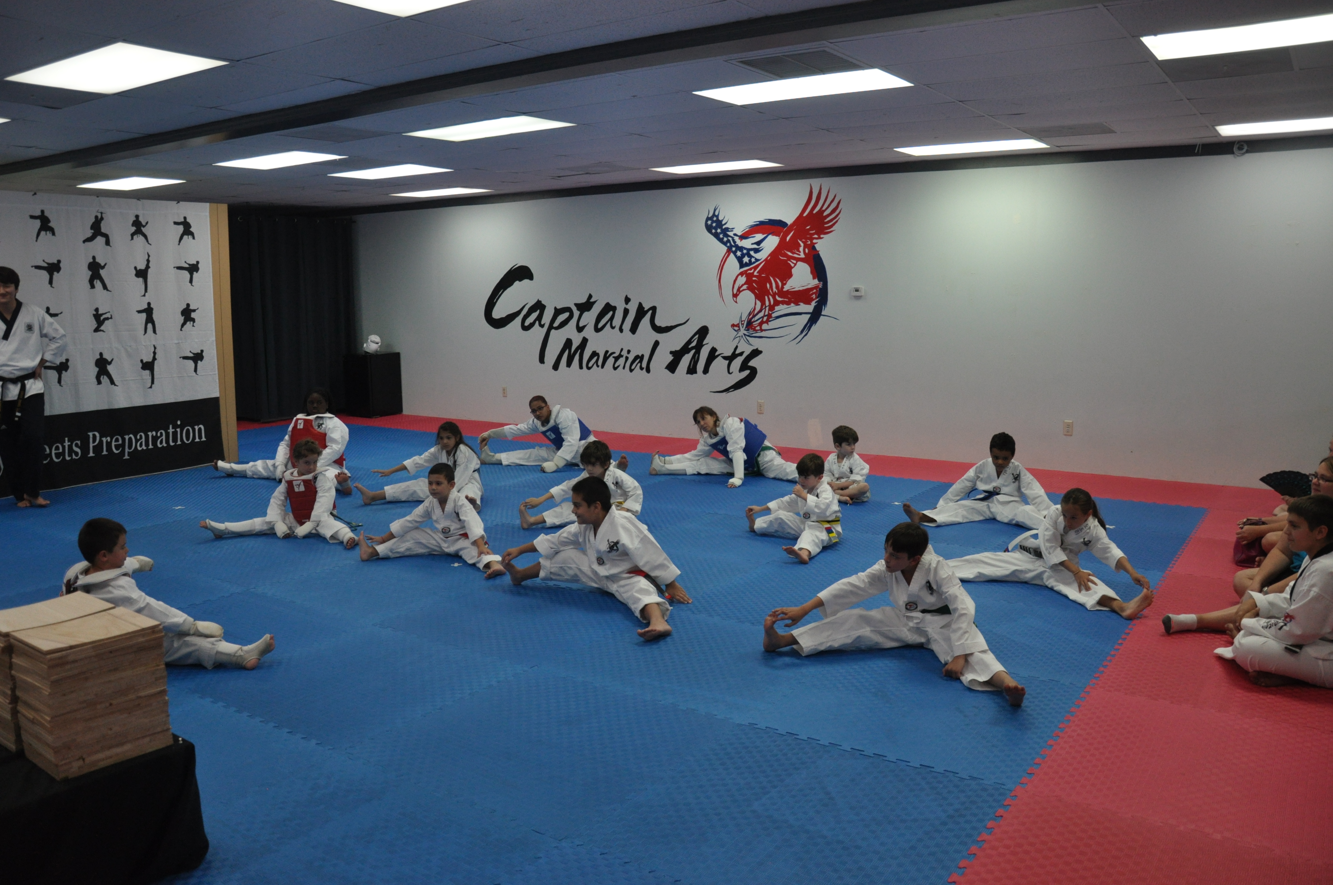Home Brandon Captain Taekwondo