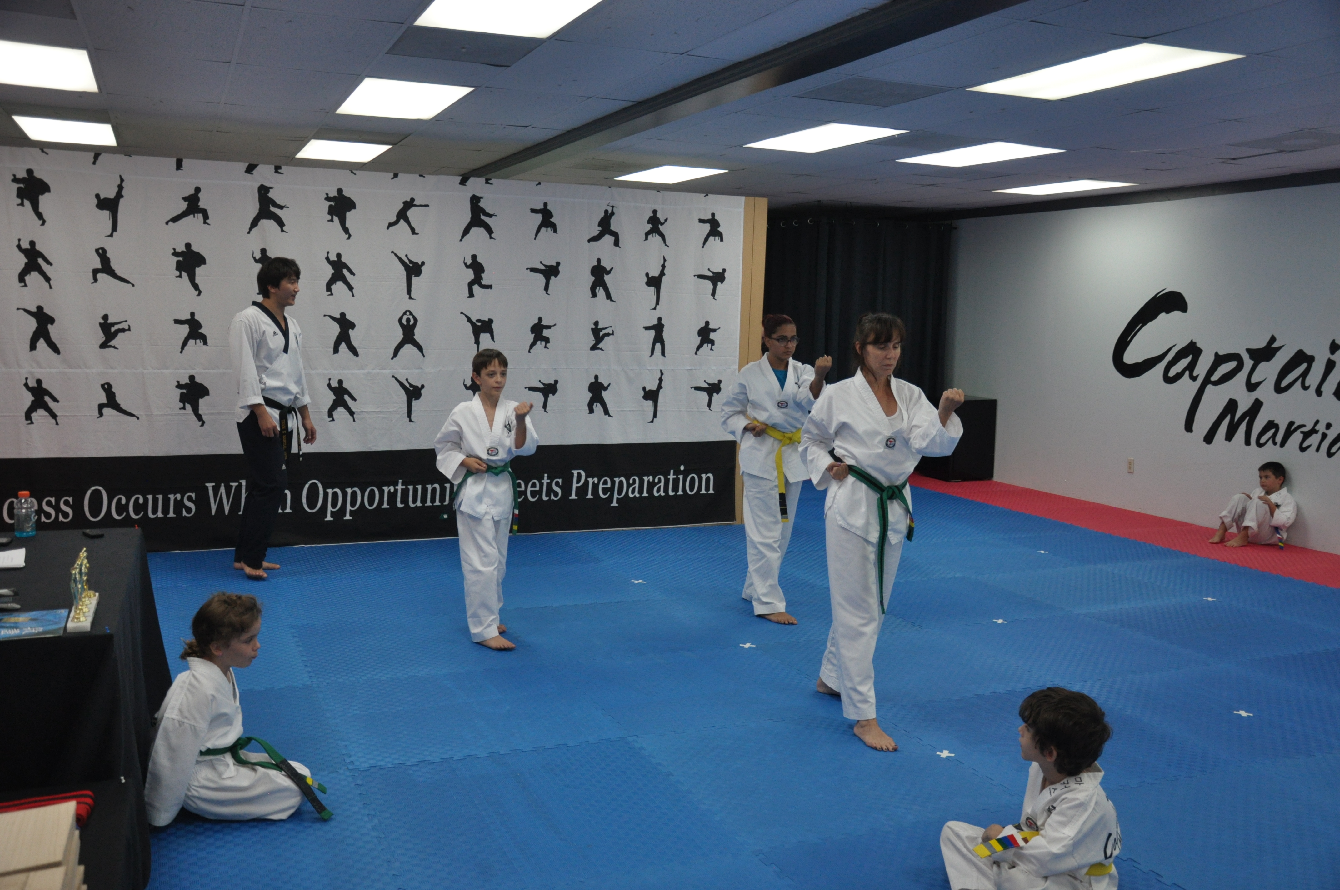 Home Brandon Captain Taekwondo