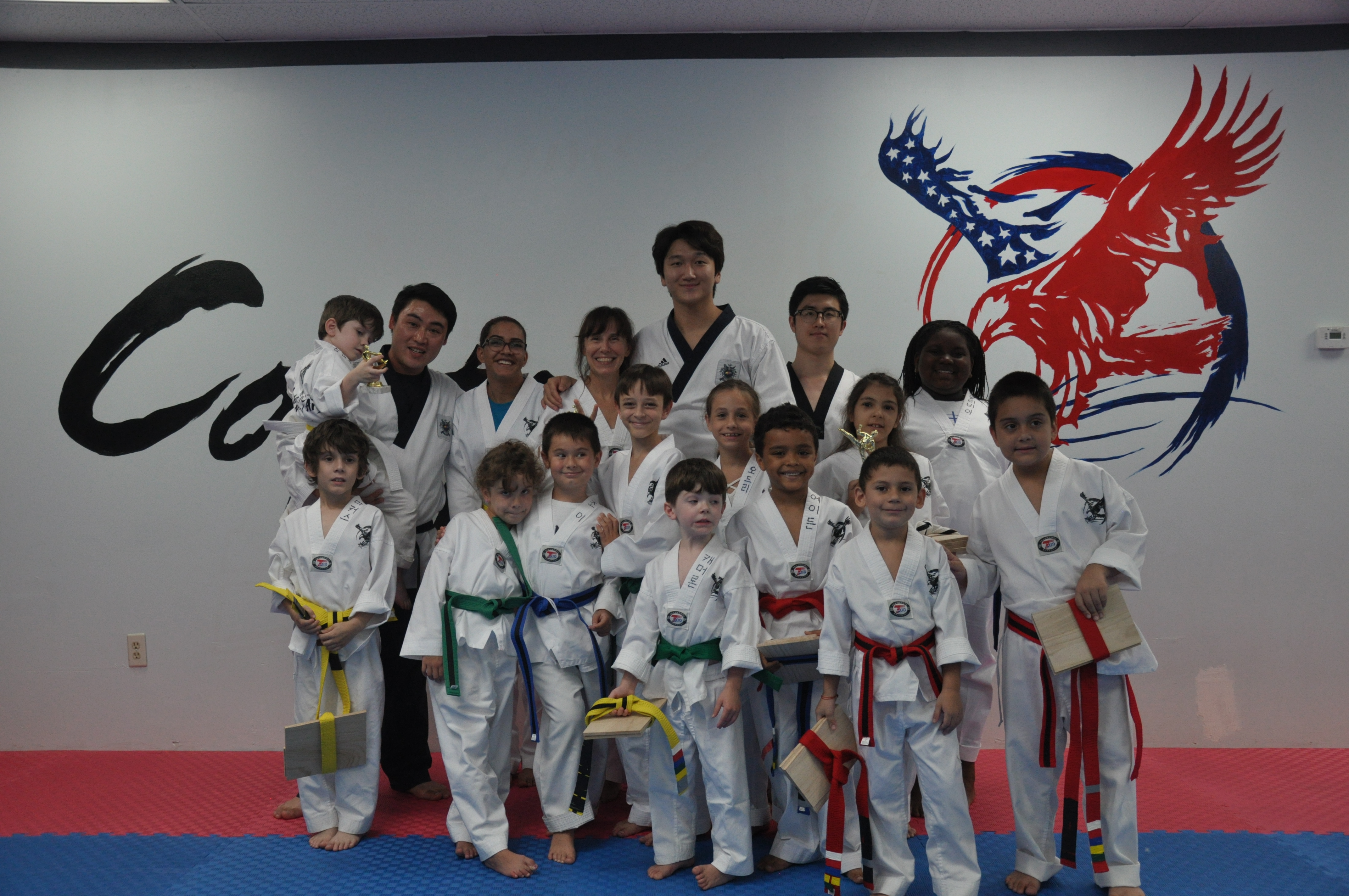 Home Brandon Captain Taekwondo