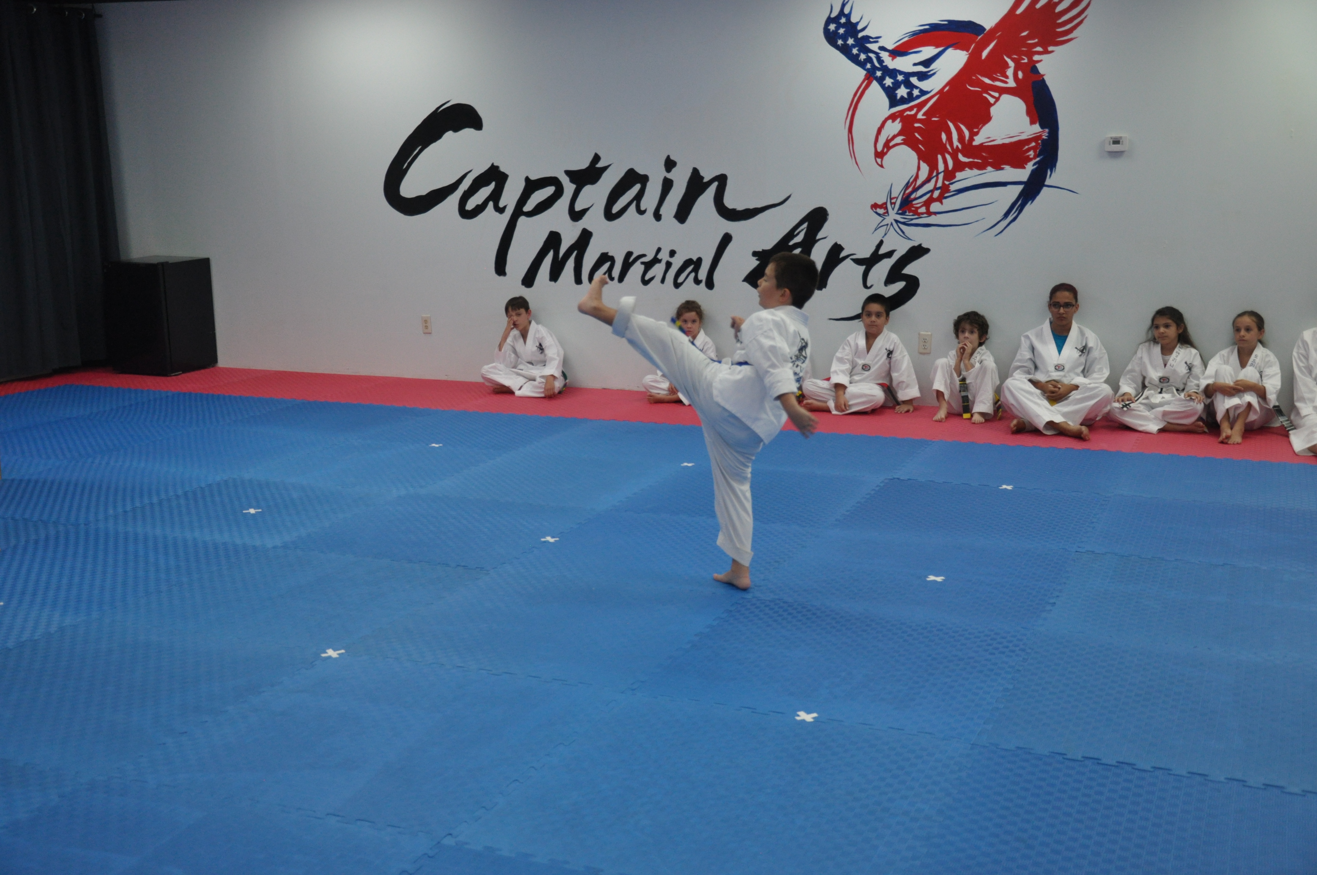 Home Brandon Captain Taekwondo