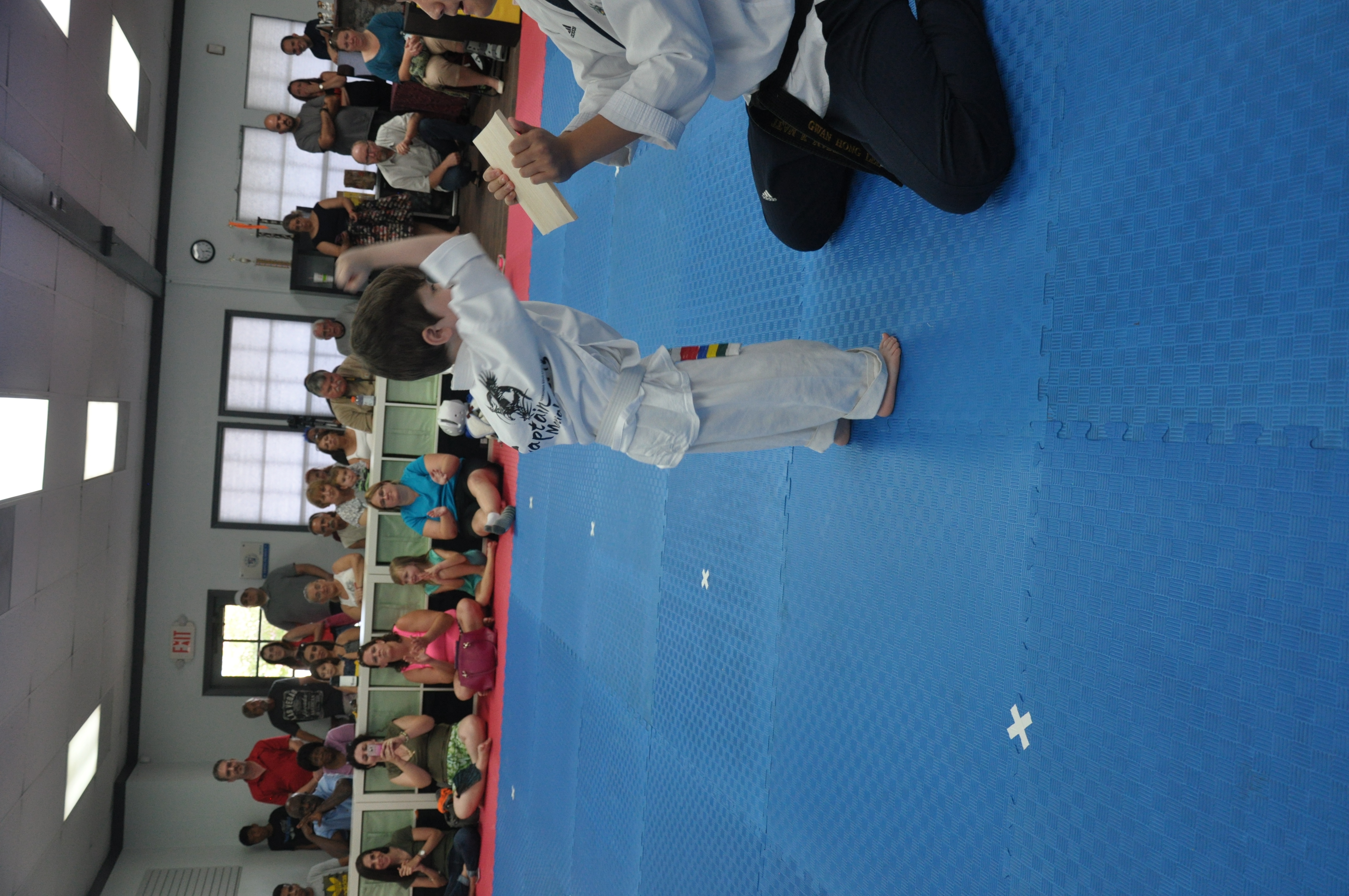 Home Brandon Captain Taekwondo