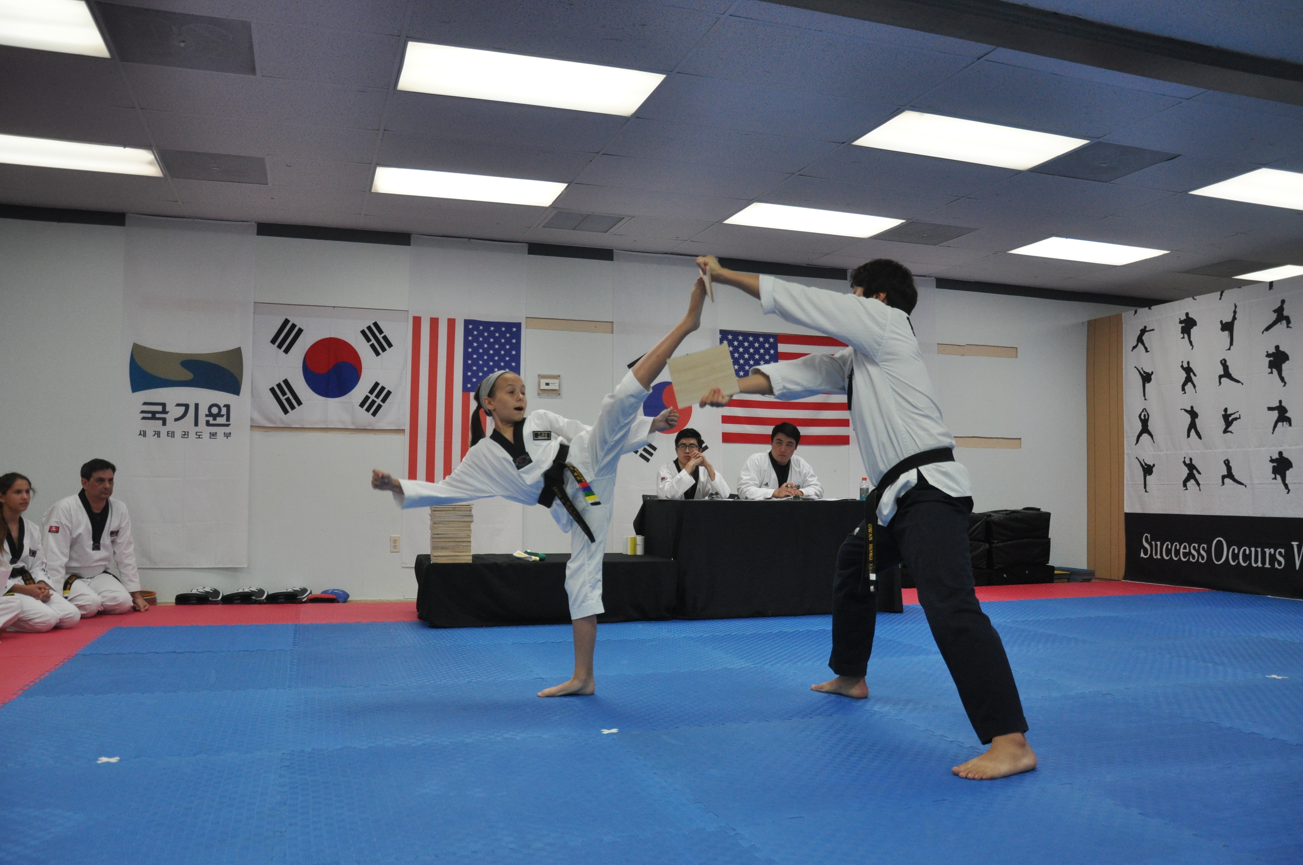 Home Brandon Captain Taekwondo