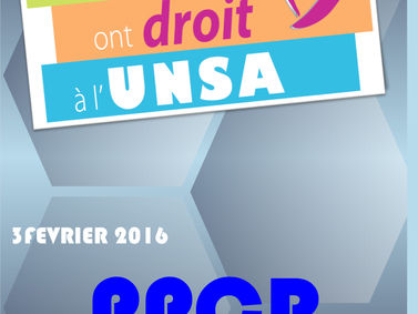 Plan Pluri-annuel des carrières et rémunérations (PPCR)