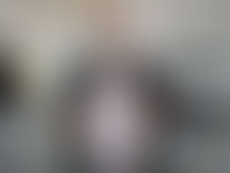 Projeto de Renato Brandão solicita criação de Comissão de Direitos dos Animais em Juazeiro